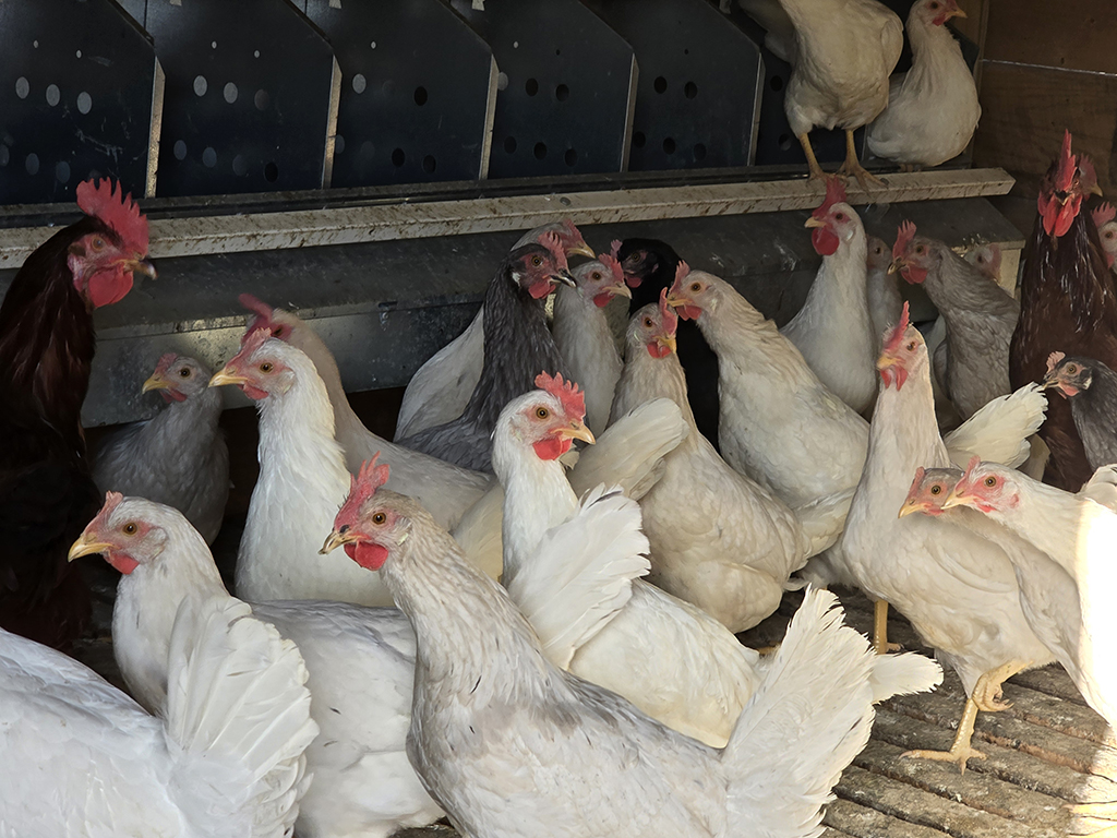 Nutrition and Healthy Eating